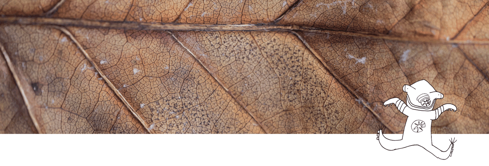 Shampoo for Dry Scalp