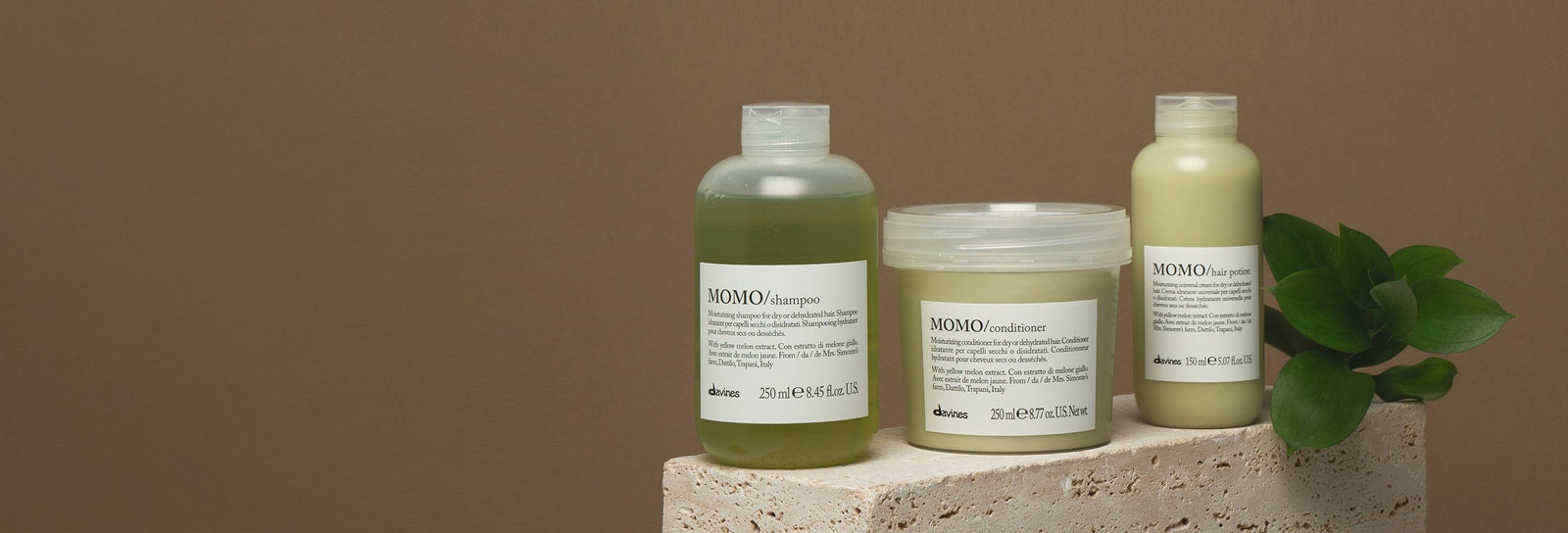 ESSENTIAL HAIRCARE|MOMO