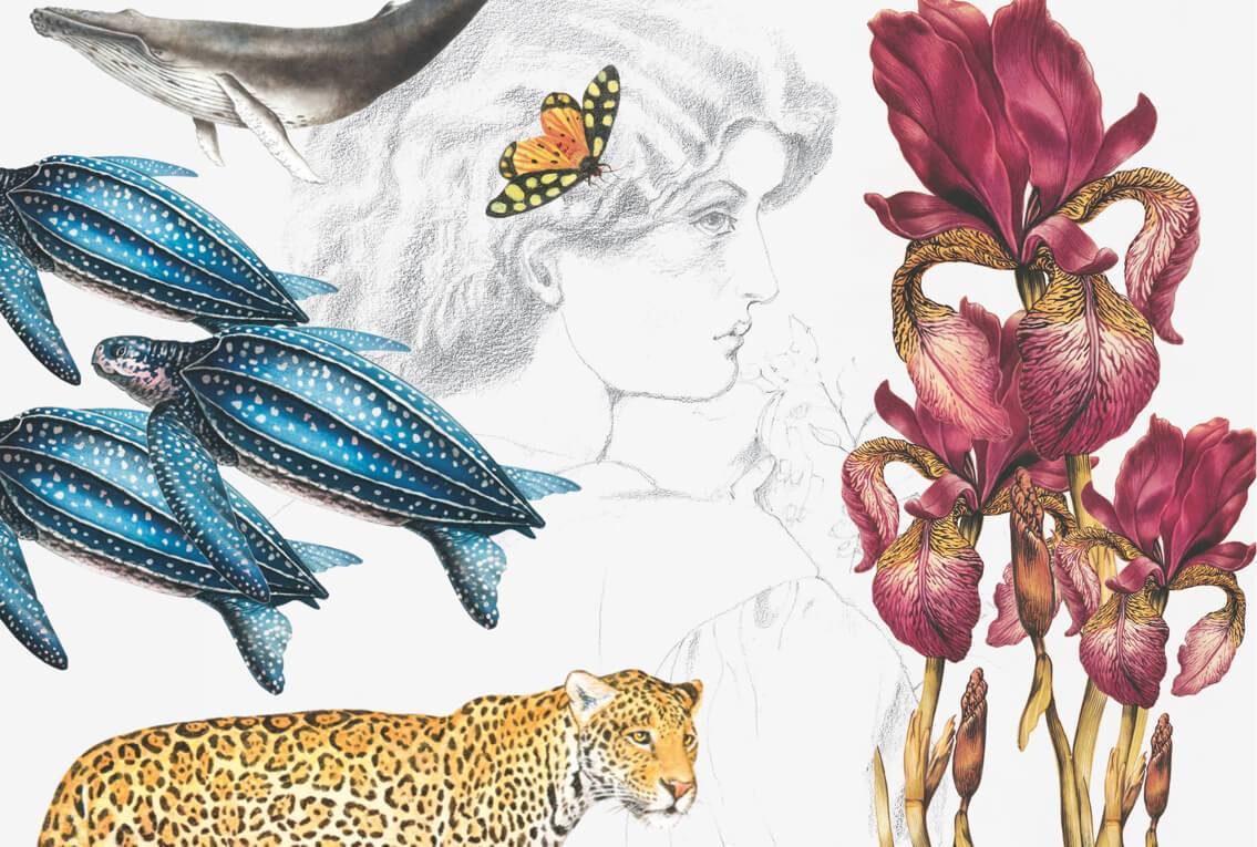 A colorful pattern of animals and sketches