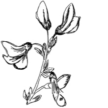 //us.davines.com/cdn/shop/t/6/assets/davines-line-finest-pigment-deco-1.jpg?v=31471944834081645081564600822