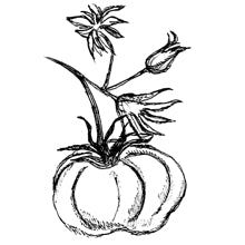 //us.davines.com/cdn/shop/t/6/assets/davines-line-finest-pigment-deco-2.jpg?v=79889010406983862501564600796