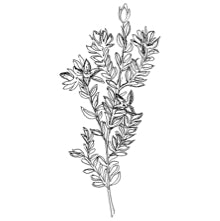 //us.davines.com/cdn/shop/t/6/assets/davines-line-finest-pigment-deco-4.jpg?v=26652696539408005481564600781