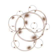 //us.davines.com/cdn/shop/t/6/assets/davines-line-liquid-spell-deco-3.png?v=46280387748838644991564600790