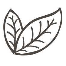 //us.davines.com/cdn/shop/t/6/assets/davines-line-single-shampoo-deco-1.png?v=183516140813493506251564600799