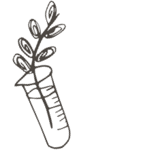 //us.davines.com/cdn/shop/t/6/assets/davines-line-single-shampoo-deco-3.png?v=134859518317833459071564600899