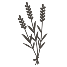 //us.davines.com/cdn/shop/t/6/assets/davines-line-single-shampoo-deco-4.png?v=10996012474181549121564600799