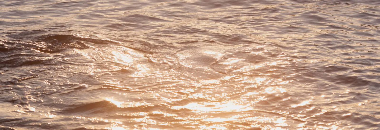 How Davines is reducing our ‘water footprint’