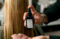 Bronde Hair: The Best of Blonde and Brunette in One Color