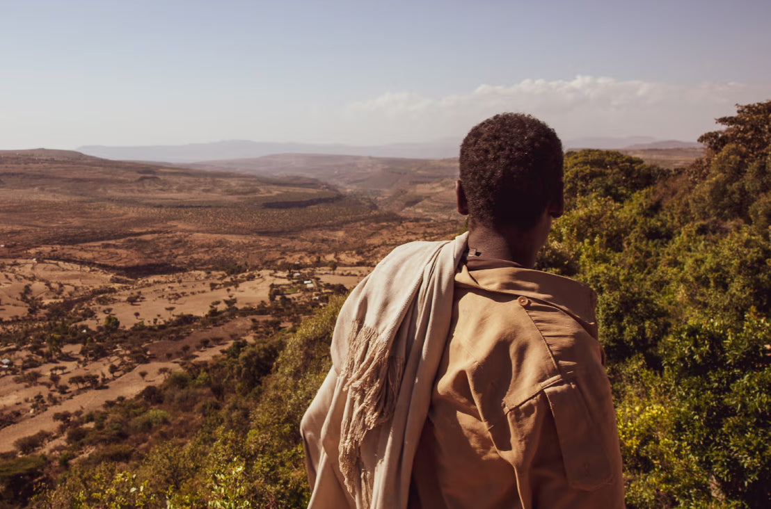 Sustainable Beauty Gives Back