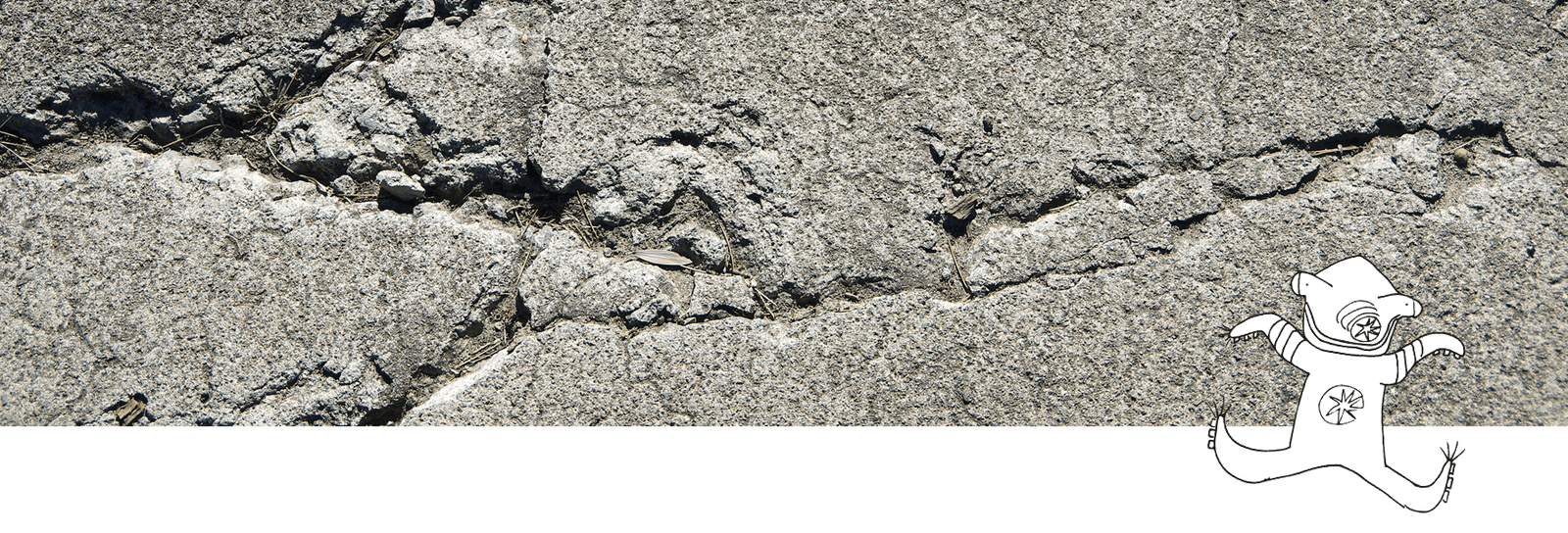 Damaged Hair Shampoo