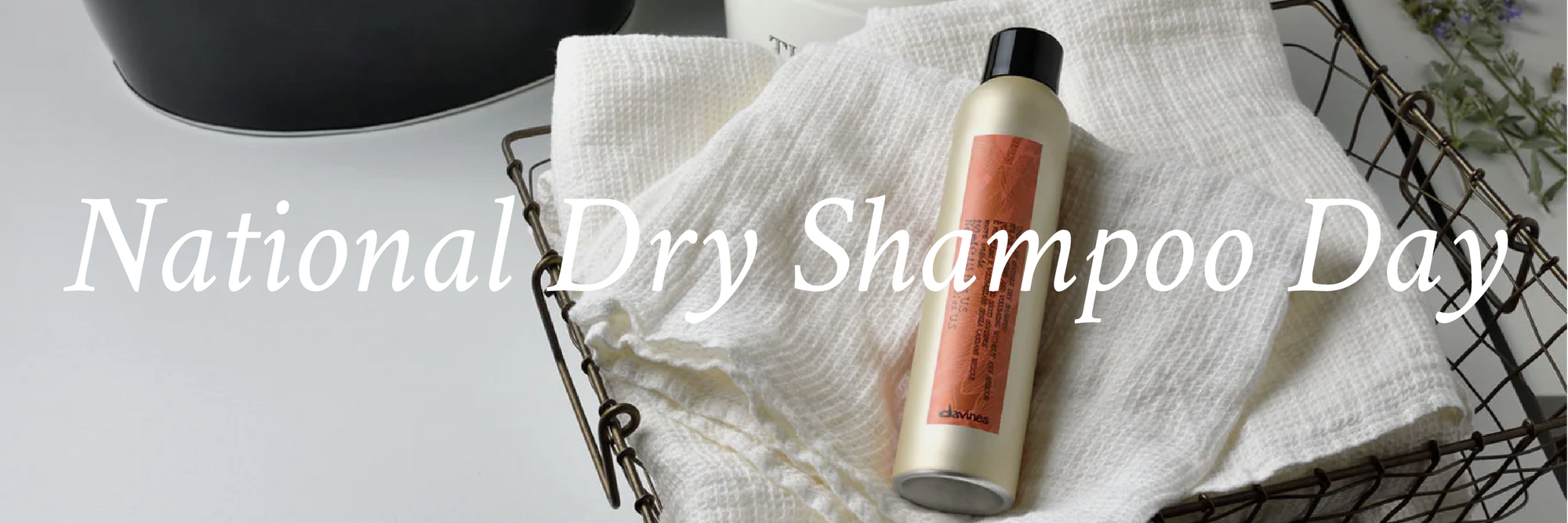 National Dry Shampoo Day