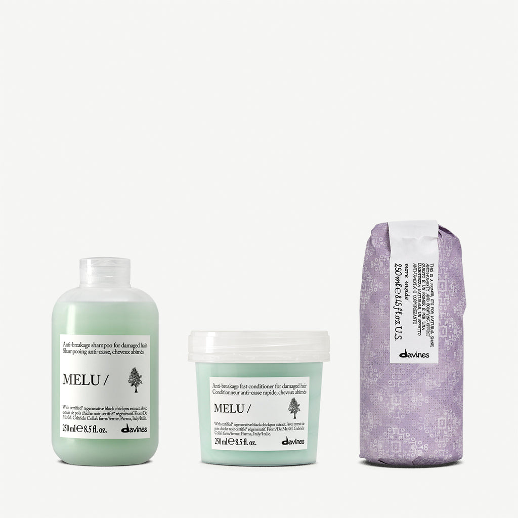 Essential Blow Dry Set
